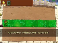 D5Snipaste_2025-05-06_13-46-21.webp